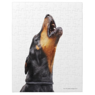 Heulender Dobermann Puzzle