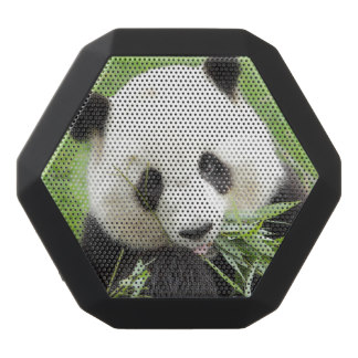 Bluetooth Speaker. Giant Panda.