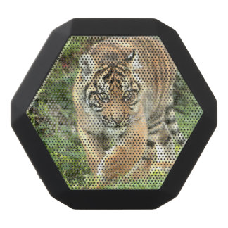 Bluetooth Speaker. Tiger.