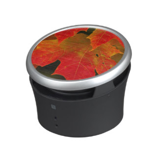 Itasca State Park, Fall Colors 2 Bluetooth Speaker