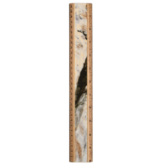 Driftwood Ruler