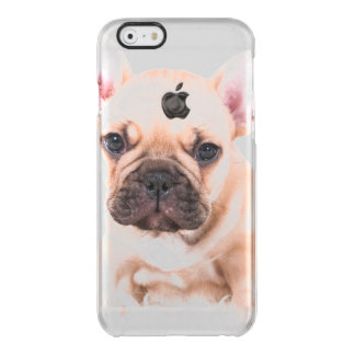 Bouledogue français coque iPhone 6/6S