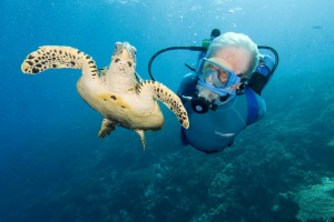 Jean-Michel Cousteau gets up close and personal with a hawksbill turtle in Paupa New Guinea.