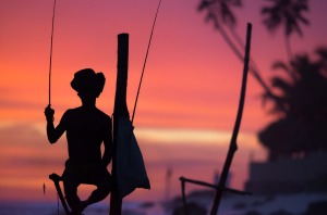 Sri Lanka's stilt fisherman.