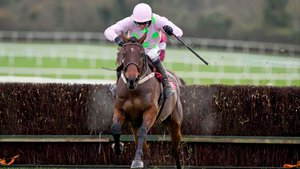 Djakadam showed well in his schooling session at Leopardstown