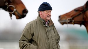 Noel Meade is happy with Disko and A Genie In Abottle ahead of Cheltenham