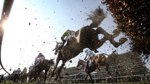 The Cheltenham Festival kicks off next Tuesday