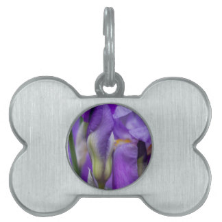 iris gladiolus in the garden pet ID tags