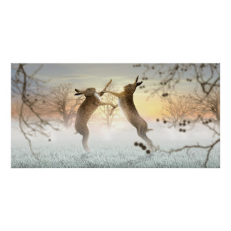 Boxing Hares Poster