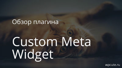 denisco: Обзор плагина Custom Meta Widget. Добавляем и удаляем ссылки в стандартном виджете Мета.