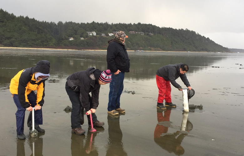 Mark Yuasa (right), Tegan Yuasa (yellow jacket) and Taylan Yuasa dig for razor clams at Copalis Beach with Iron Springs Resort clam guide Jerry Lacey.