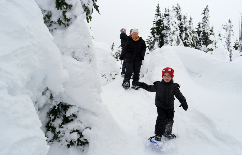 Miles Walton, 4, of Port Angeles, leads his family on a snowshoe walk at Hurricane Ridge. (Caitlin Moran / The Seattle Times)