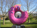 Donut-springfield-nz.png