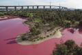 A salt lake in Westgate Park has turned pink. 