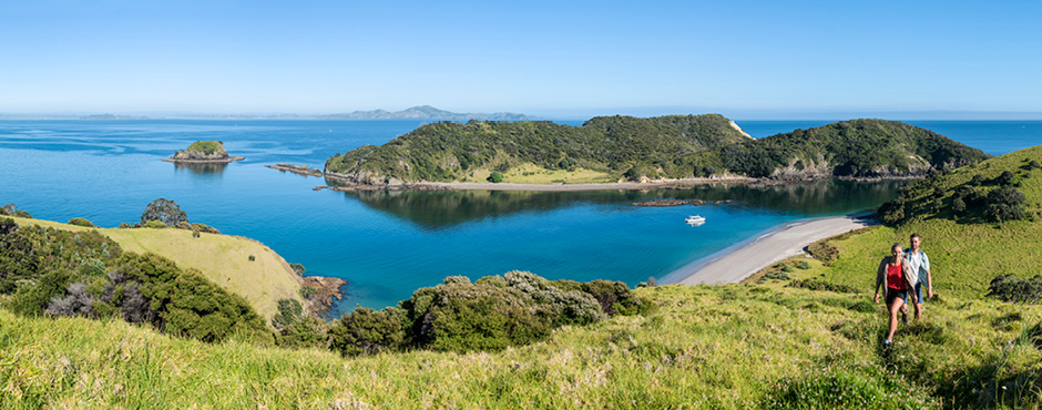 Discover Northland in New Zealand