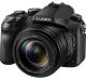 The Panasonic FZ2500, a great all-rounder.