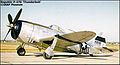 P47d photo small.jpg