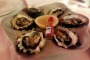Ian Curley's oysters at French Saloon