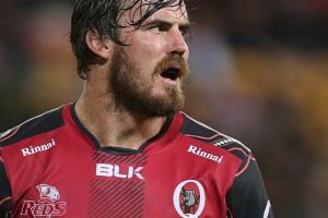 Wallaby second-rower Kane Douglas has been axed by the Reds.