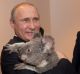 Australians, we are told, are just crying out for a PM like Vladimir Putin. But should they?