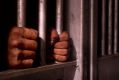 In 1991 Indigenous Australians made up 14 per cent of the nation's prison population. By 2015, this had increased to 27 ...