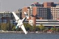 The Grumman sea plane crashed into the Swan River on Australia, killing its two occupants.