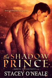 The Shadow Prince: The Prequel to Mortal Enchantment