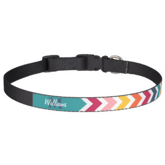 Cool trendy colourful custom Monogram chevron Pet Collar