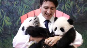 Justin Trudeau and panda bears
Canadian Prime Minister unveils the names of The Toronto Zoo???s panda cubs, Jia Panpan ...