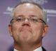 Treasurer Scott Morrison says he is working well with Prime Minister Malcolm Turnbull.