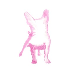 Watercolour French Pink Bulldog - Prints And Posters