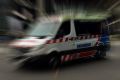 A boy has been taken to hospital after being bitten by a dog on the face and head in Gippsland.