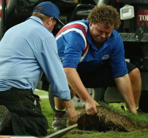 The playing surface at Allianz Stadium was in a state of disrepair in April last year.