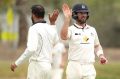 Fawad Ahmed and Dan Christian celebrate a wicket.