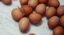 Eggs