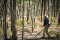 Retired banker from NSW John Nalder searches for gold. 