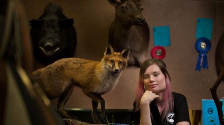 Brought to life: Brittany Porter won a first place in the small mammal novice section at the third annual Australian ...