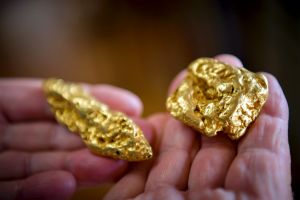 Gold nuggets.