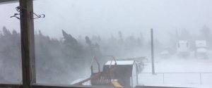 NEWFOUNDLAND WINDS