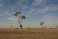 The Fraser Coast region had the lowest rainfall in its recorded history over the past 12 months, with farmers struggling ...