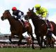 First Tuesday in DEcember anyone? 2016 Melbourne Cup winner Kerrin McEvoy (red cap) on  Almandin.