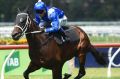 Nerves: Kerrin McEvoy rides Winx in an exhibition gallop at Rosehill.