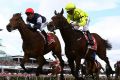 First Tuesday in DEcember anyone? 2016 Melbourne Cup winner Kerrin McEvoy (red cap) on  Almandin.