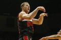 Ready for the Wildcats: Illawarra Hawks forward Tim Coenraad.