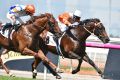 Linda Meech riding Sircconi defeats Luke Currie riding Aspect at Flemington.