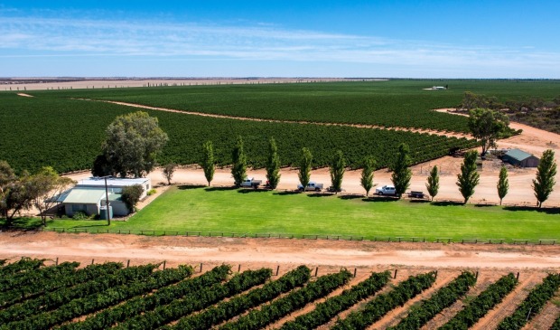 The wide, flat Riverland wine region hugs the Murray River about two hours northwest of Adelaide. Centred on Berri and ...