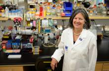 (File photo | Francisco Kjolseth | The Salt Lake Tribune)   Mary Beckerle, CEO of the Huntsman Cancer Institute, at the cancer center.  Lawmakers have approved at least $6.2 million in new money for the institue, funds that officials say will help expand research.