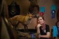 Brought to life: Brittany Porter won a first place in the small mammal novice section at the third annual Australian ...