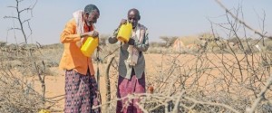 Somali Farmer