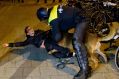 A Dutch riot policeman tries to get his dog to let go of a man after riots broke out at the Turkish consulate in Rotterdam.